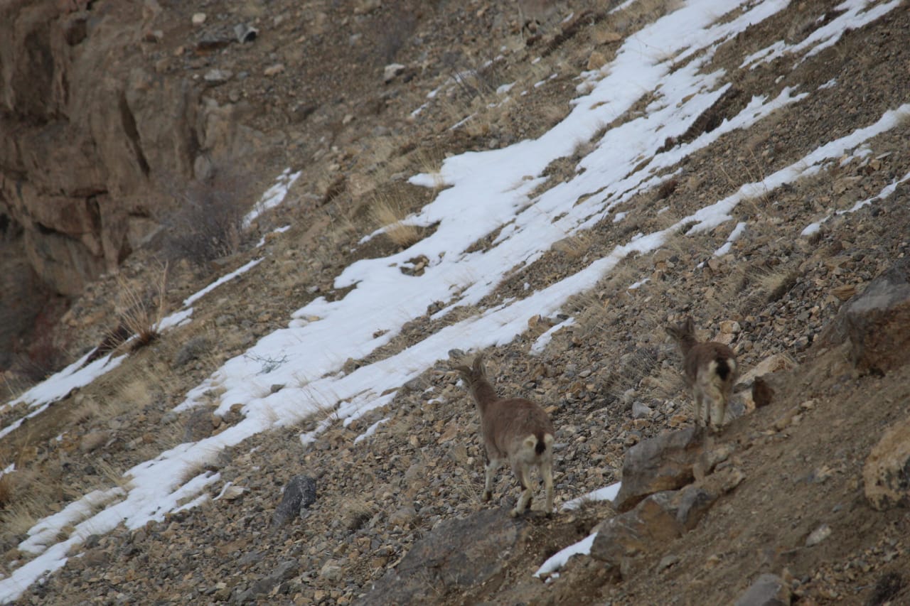 Summer Offbeat Spiti Expedition